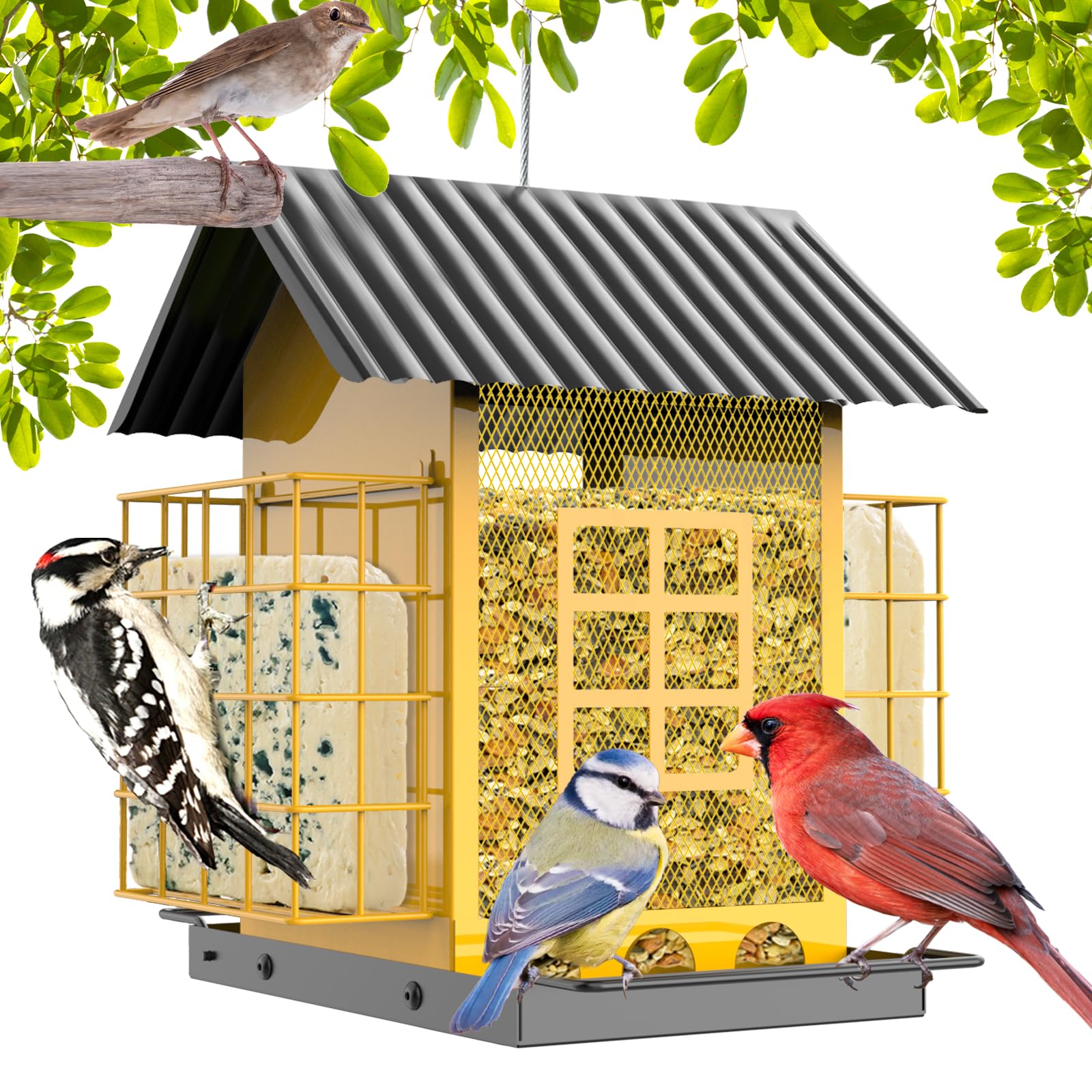 FlowaFoli Double Suet & Seed Feeder