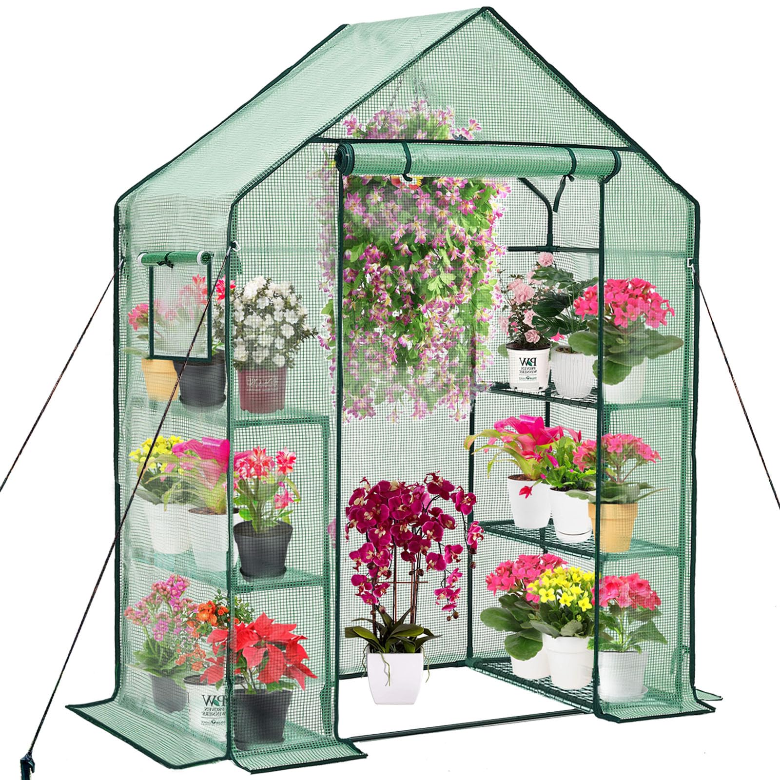 6-Shelf Walk-In Greenhouse