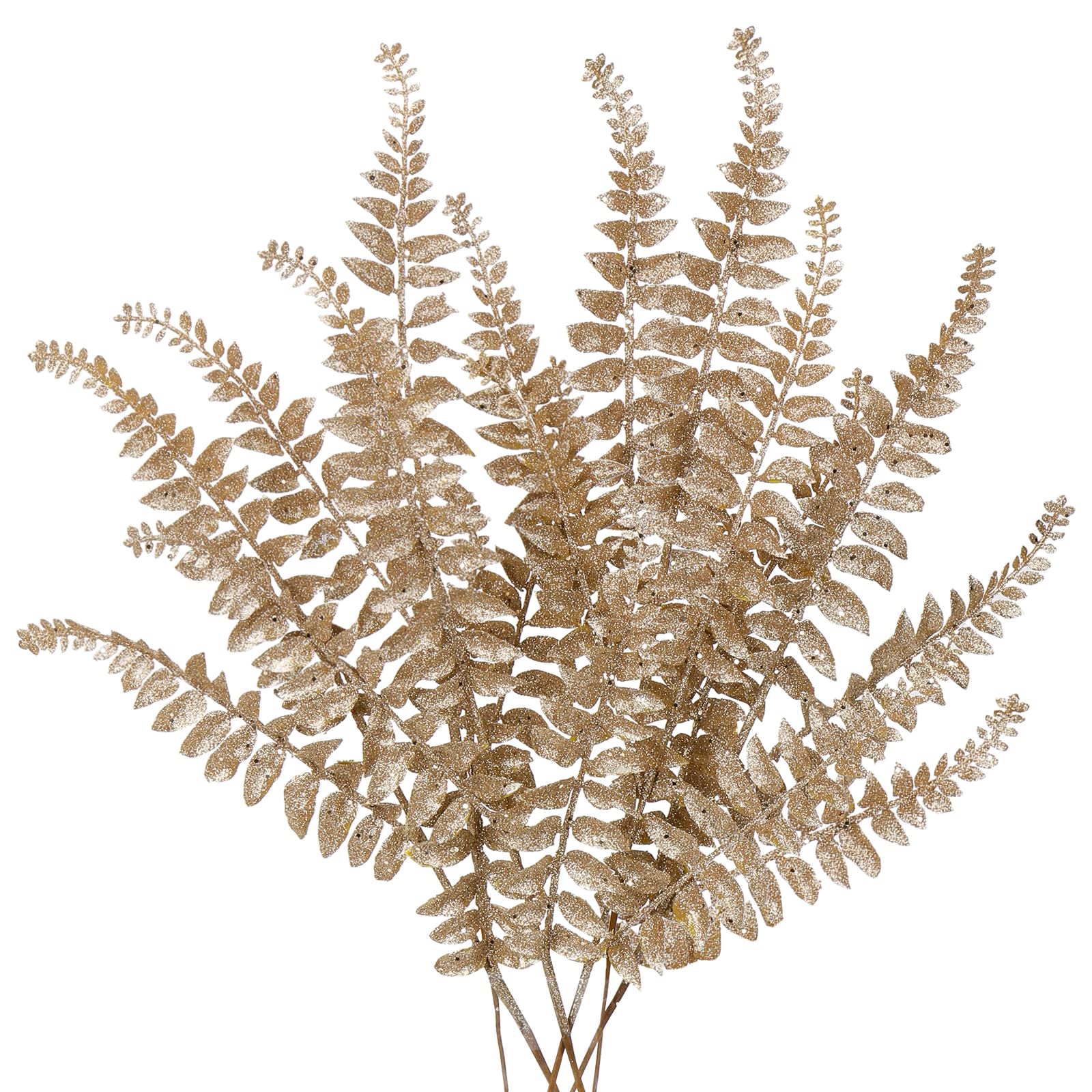 DILATATA Champagne Glitter Boston Fern Picks (6-Pack)