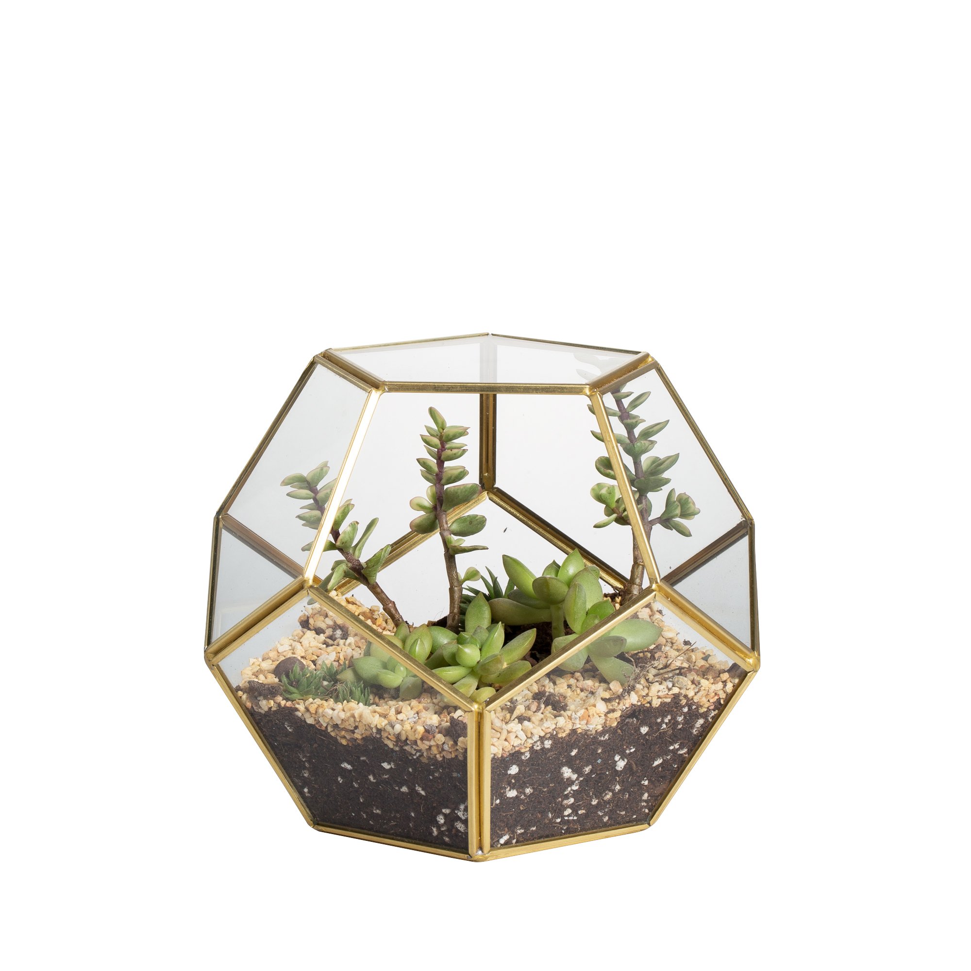 NCYP Gold Geometric Terrarium (Pentagon)