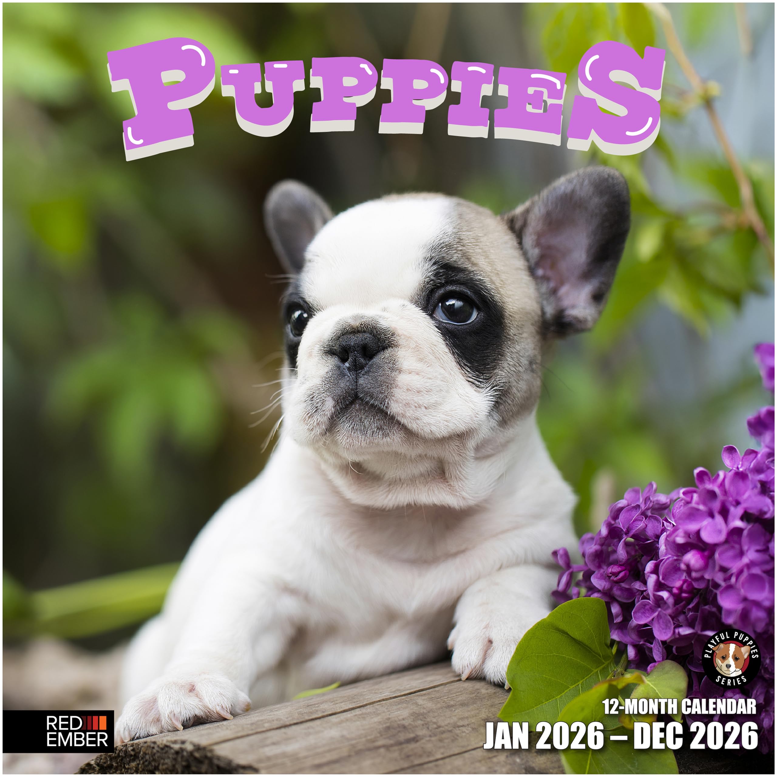 Red Ember Puppies 2026 Calendar