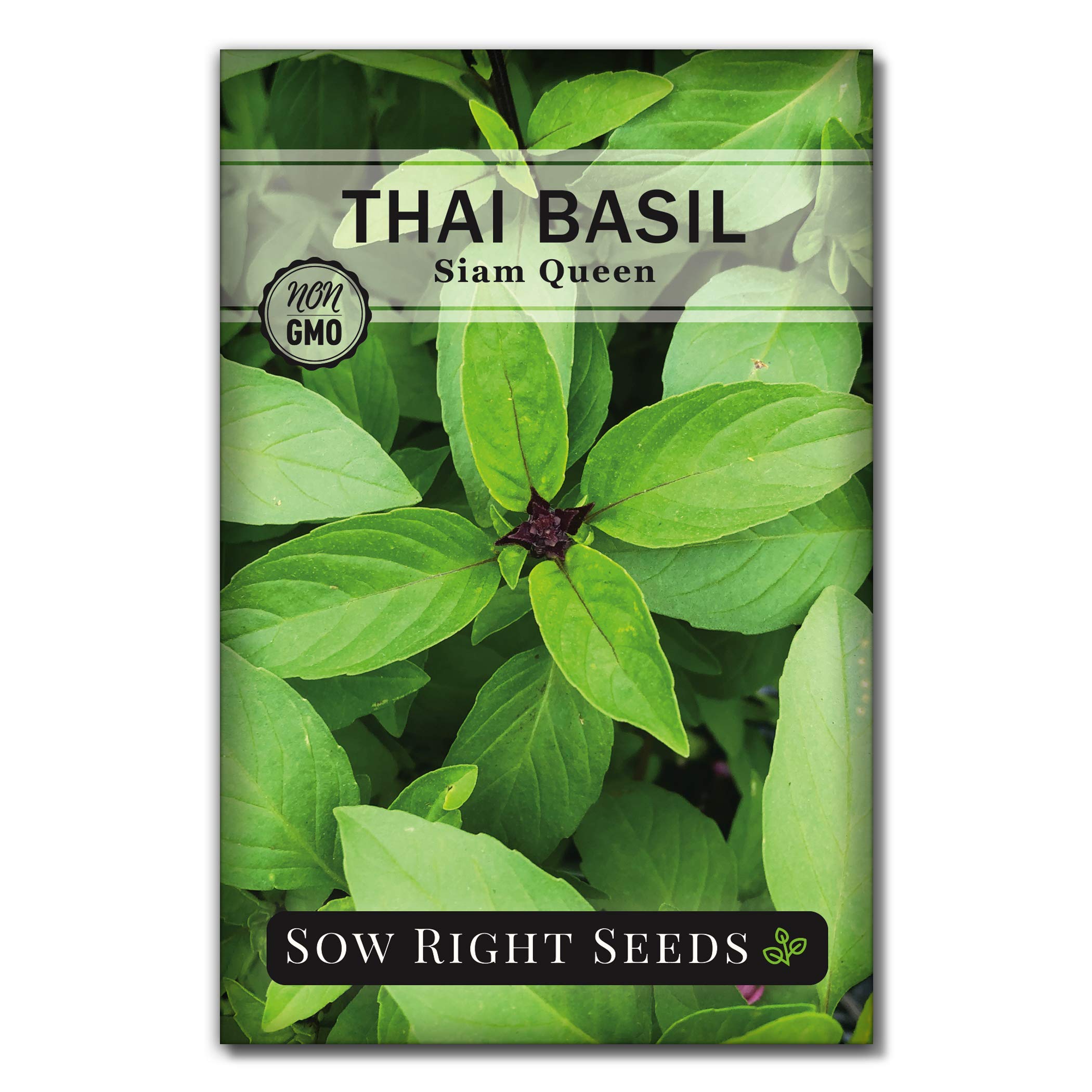 Sow Right Seeds Thai Basil (Large Leaf)