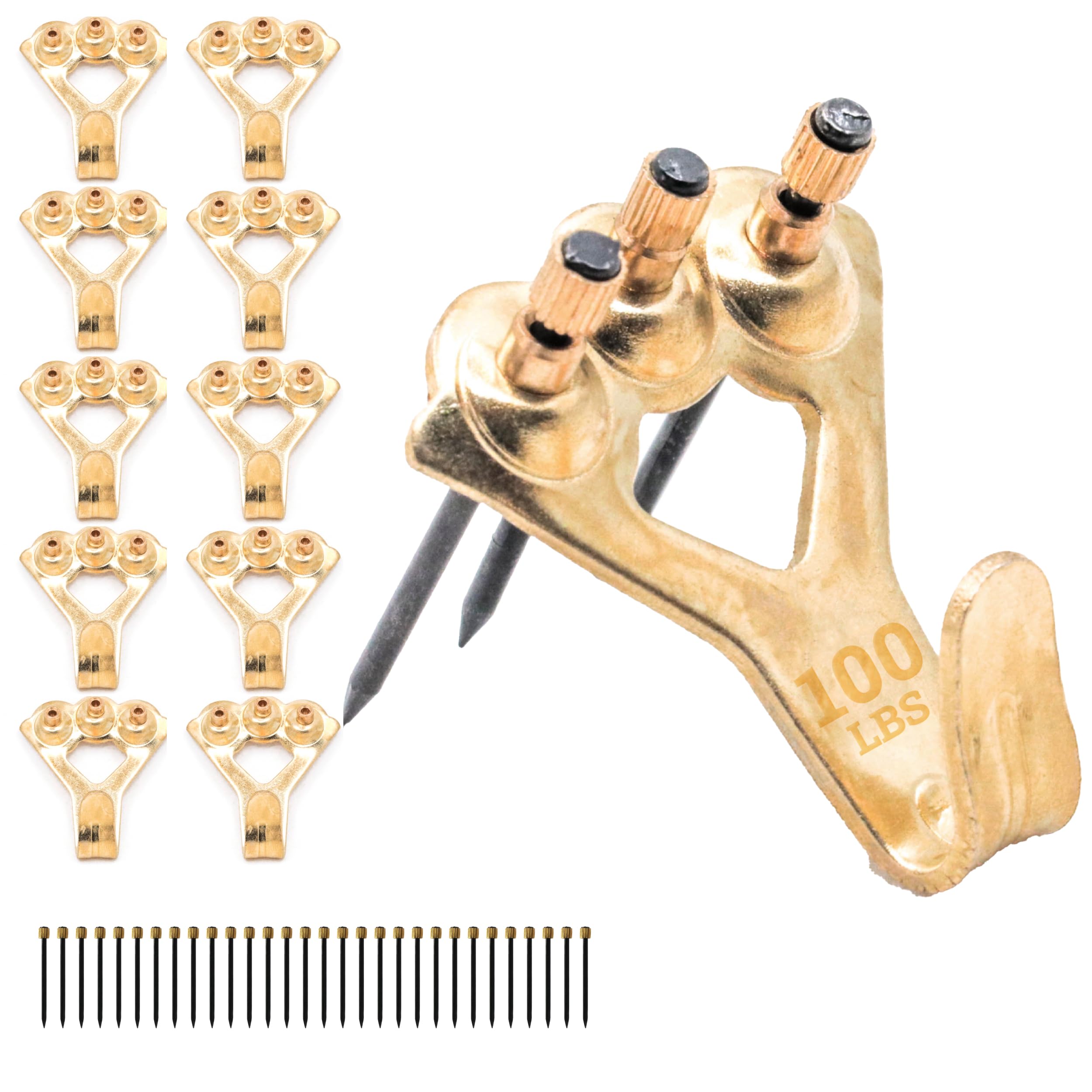 PHS 100 lb Picture Hanging Hooks