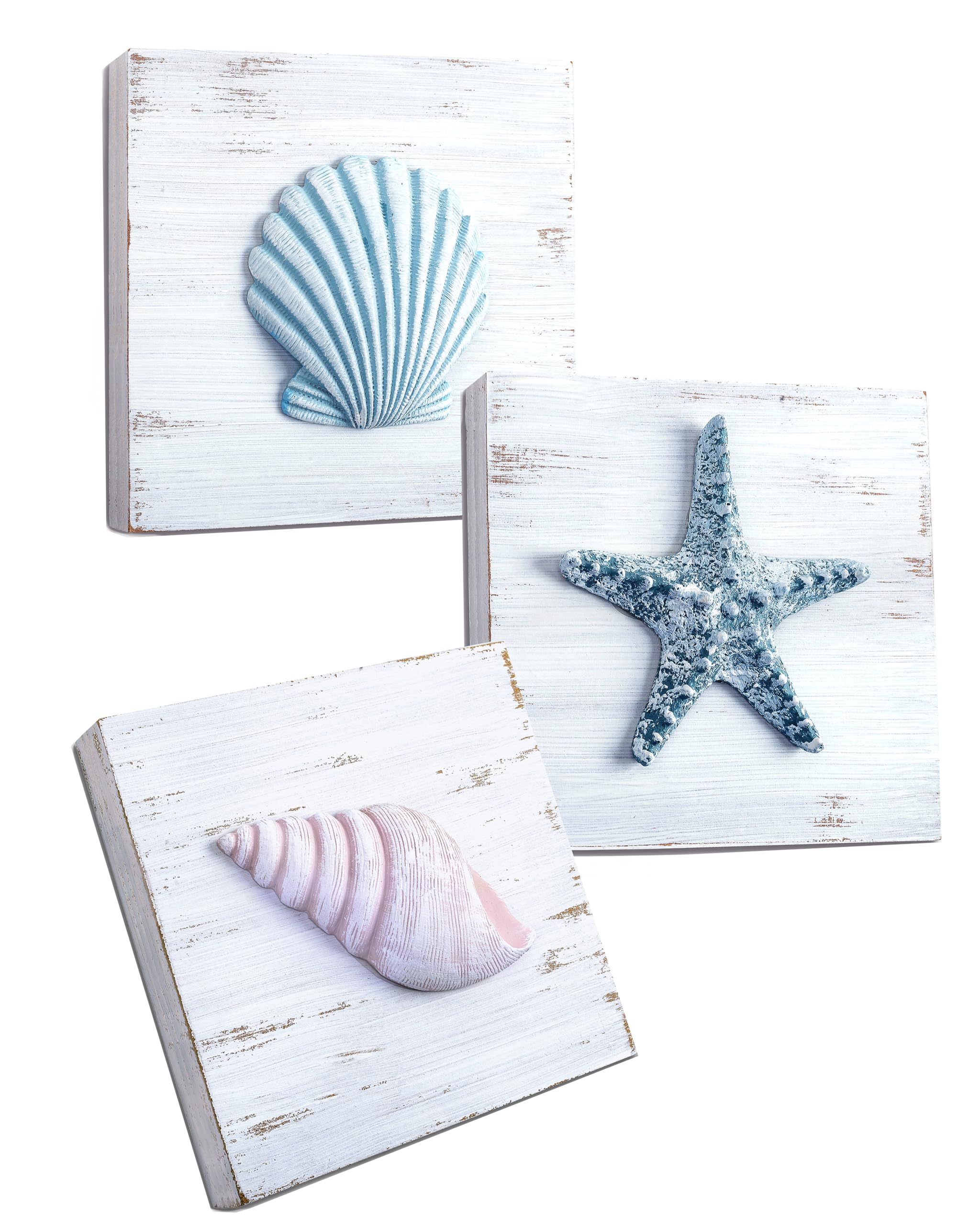 Tide and Tales 3D Seashell Plaques (Set of 3)