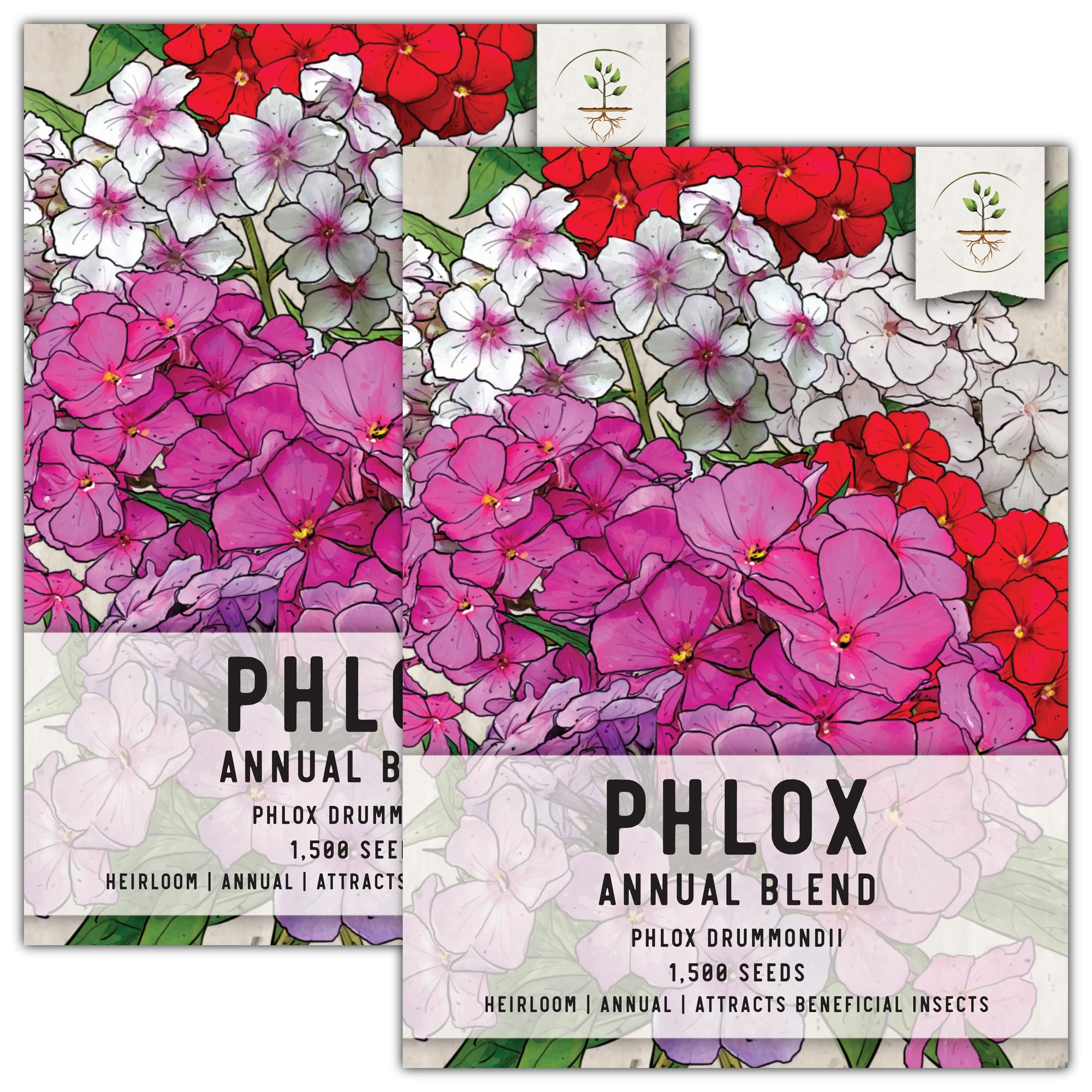Seed Needs Annual Phlox (Heirloom Mix)