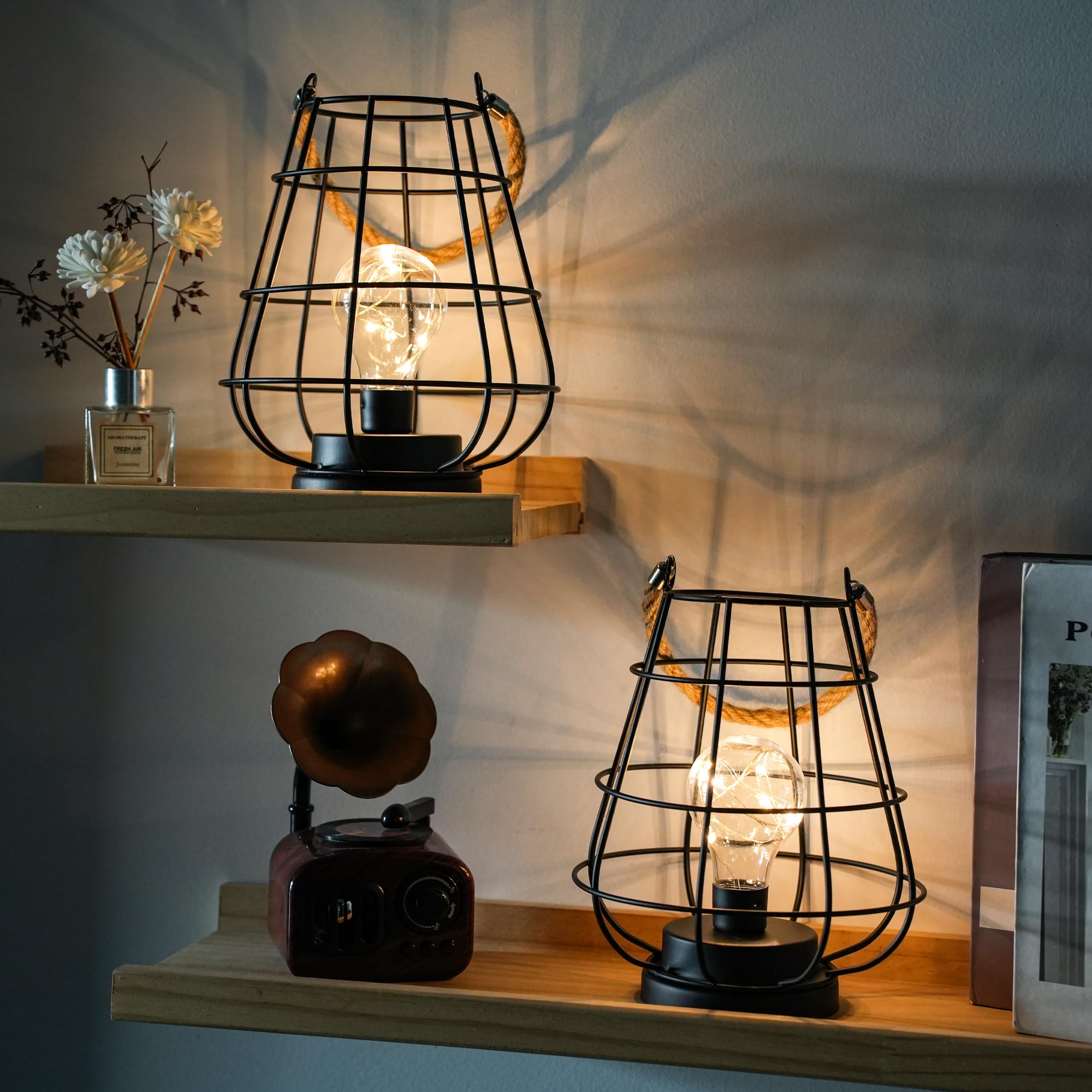 JHY DESIGN Cage Bulb Lanterns (Set of 2)