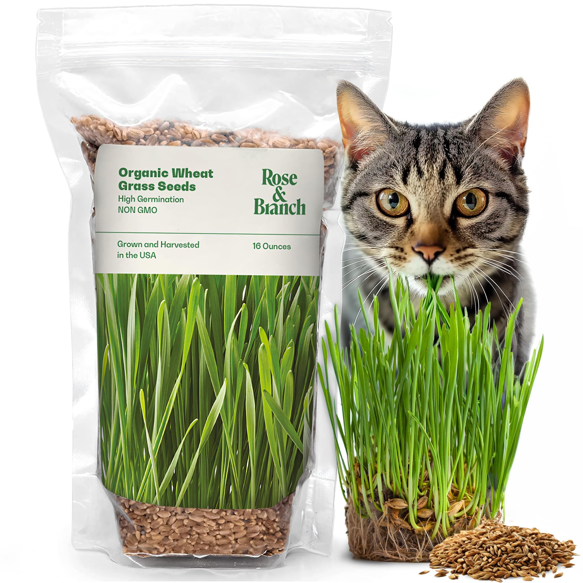 Rose & Branch Organic Hard Red Wheatgrass