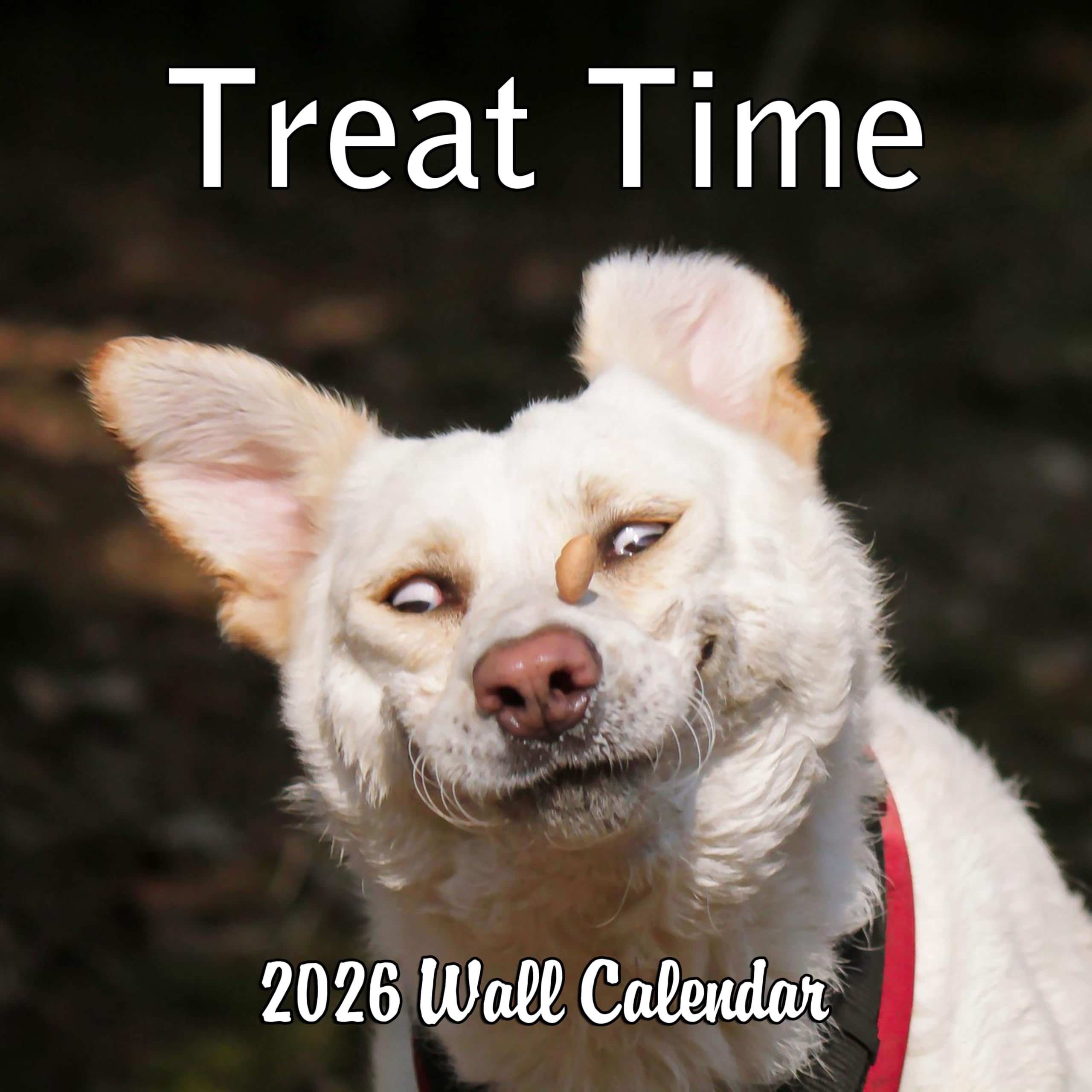Treat Time Funny Dogs 2026 Calendar