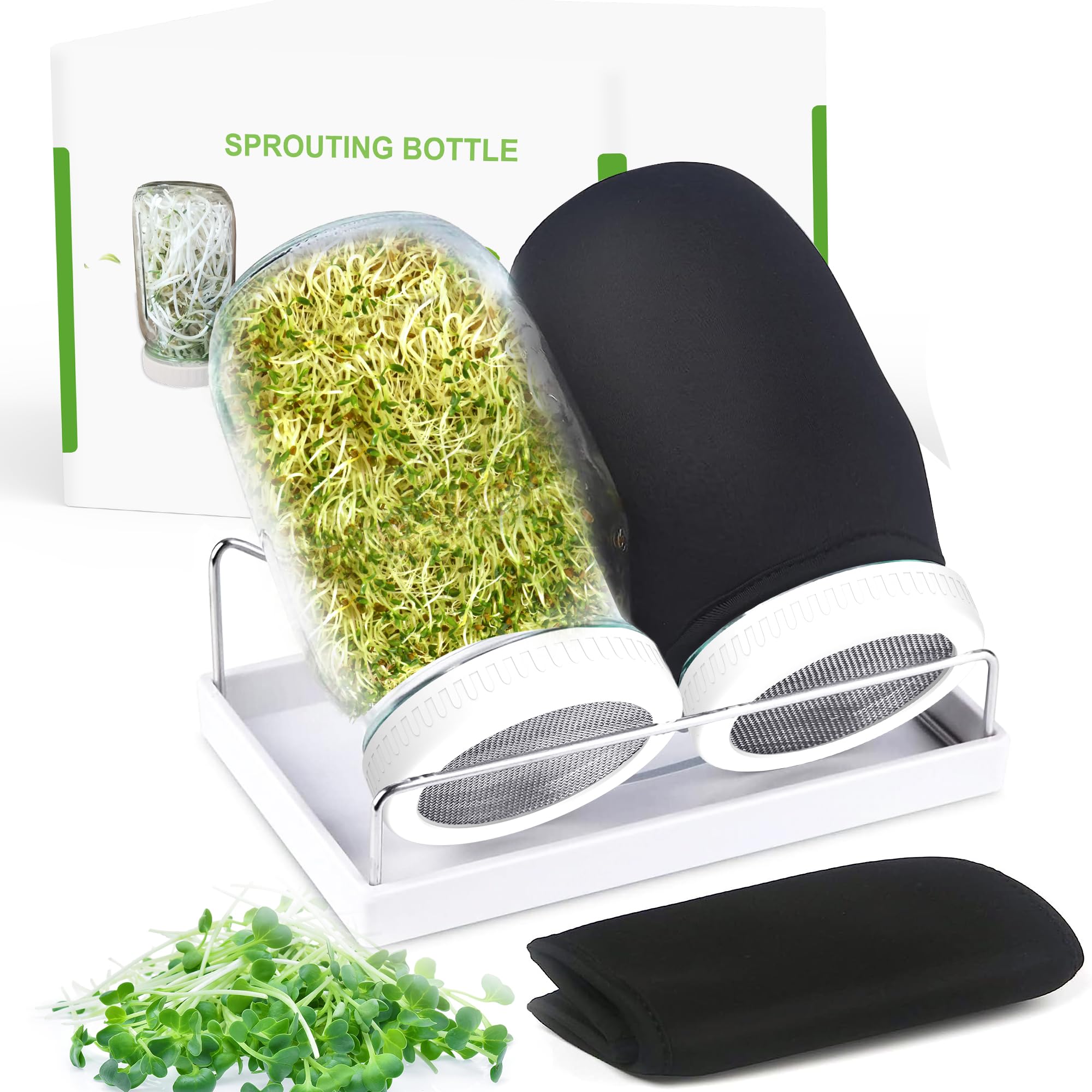 Organic Seed Sprouting Jar Kit with Stainless Lids
