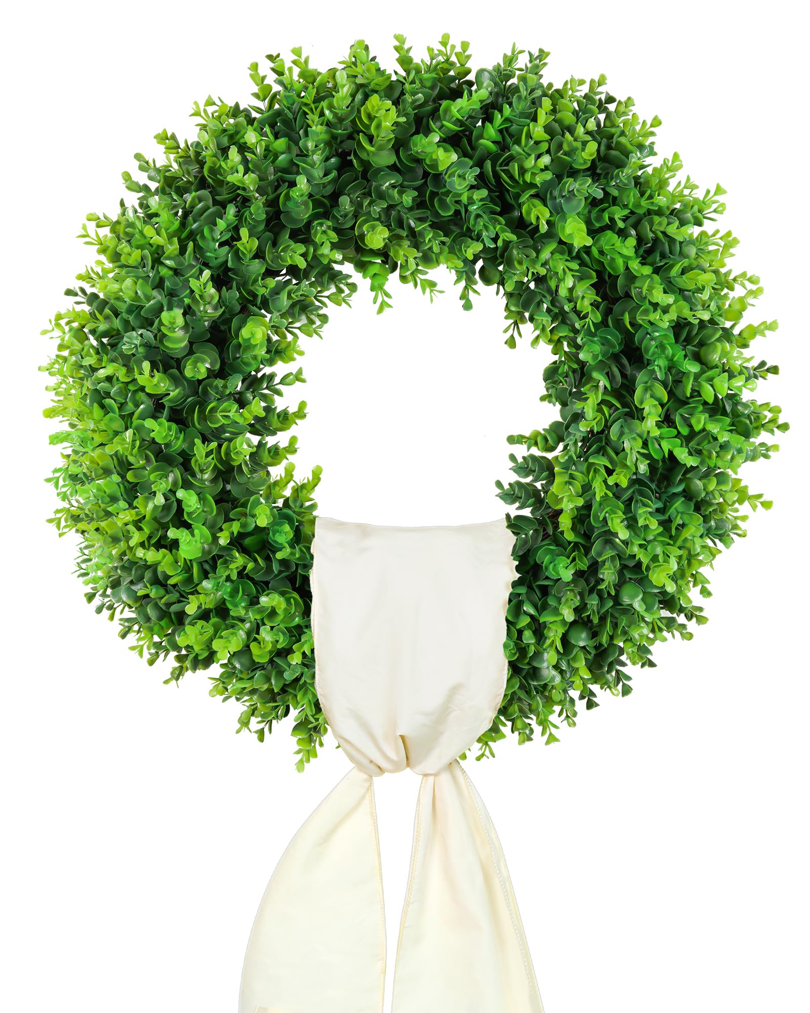 DDHS Boxwood Wreath (20-inch)