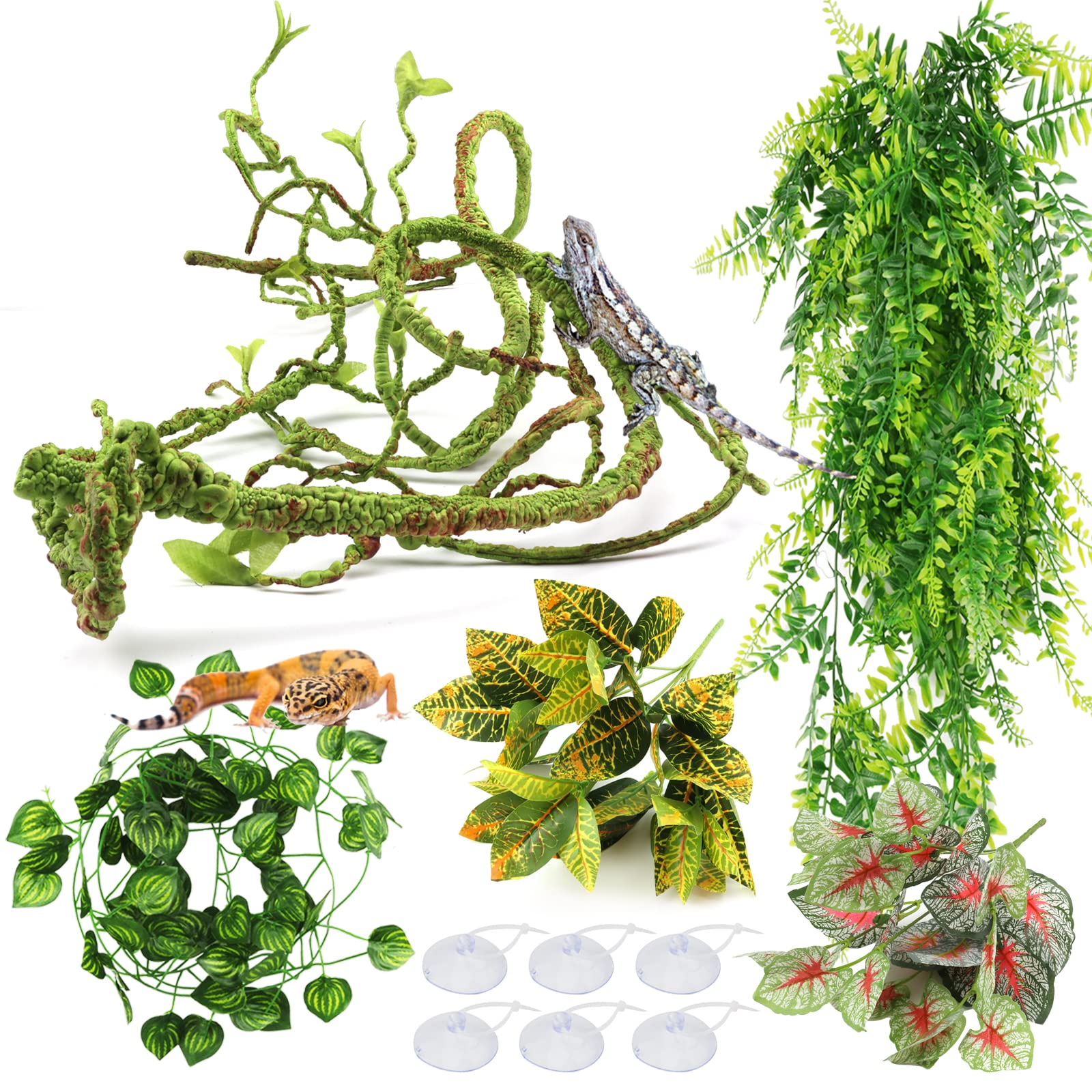 Flexible Jungle Vine Terrarium Plant Kit