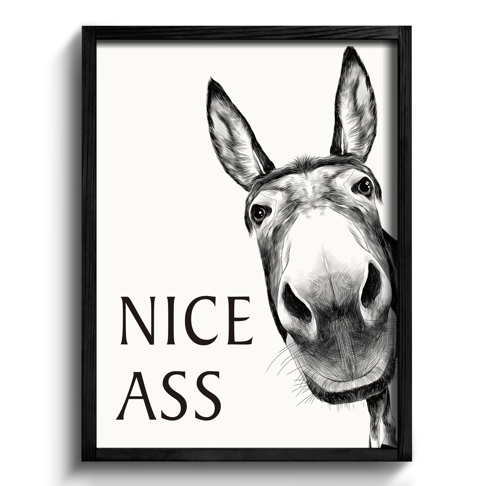 Heiple Donkey Framed Bathroom Wall Art
