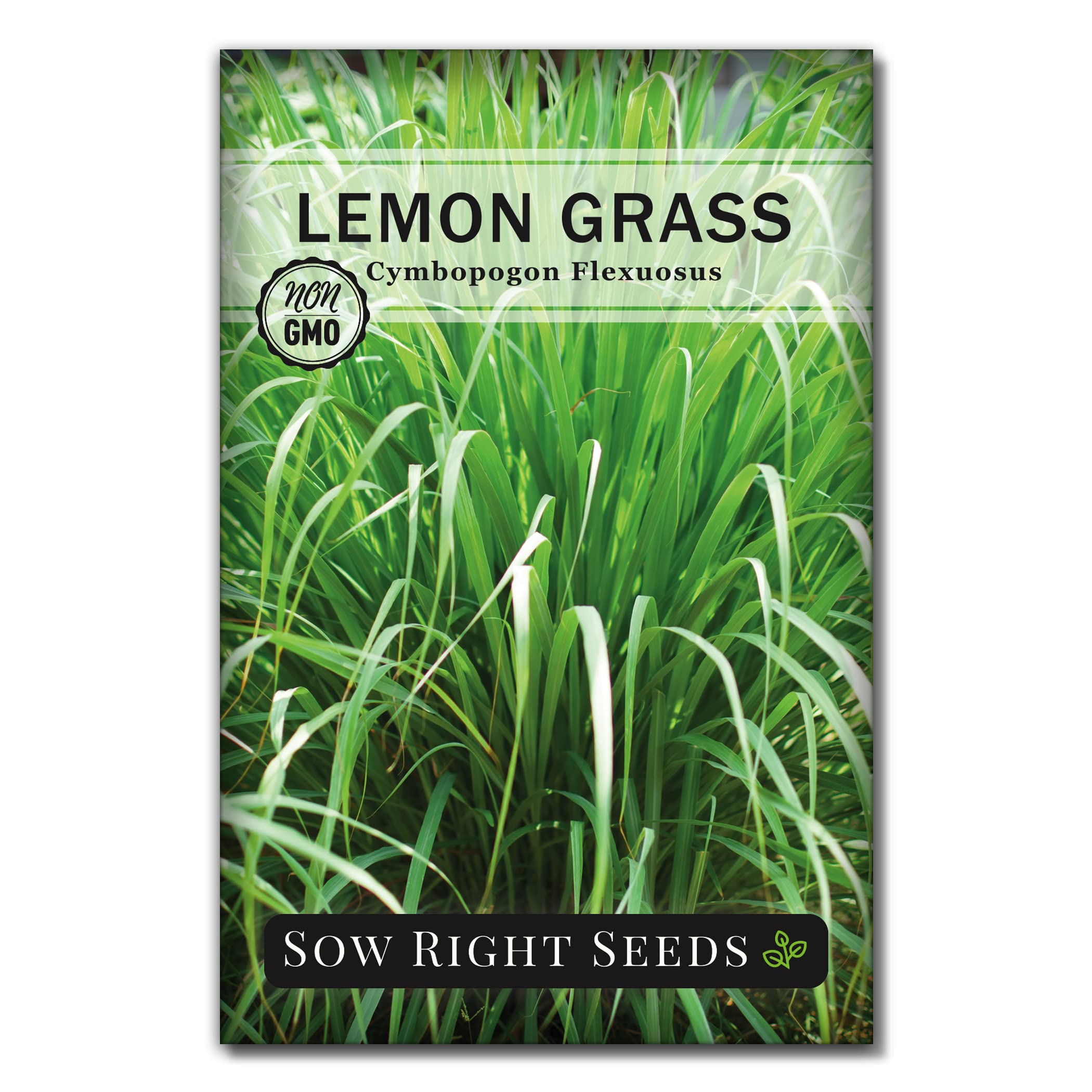 Sow Right Non‑GMO Lemongrass Seeds