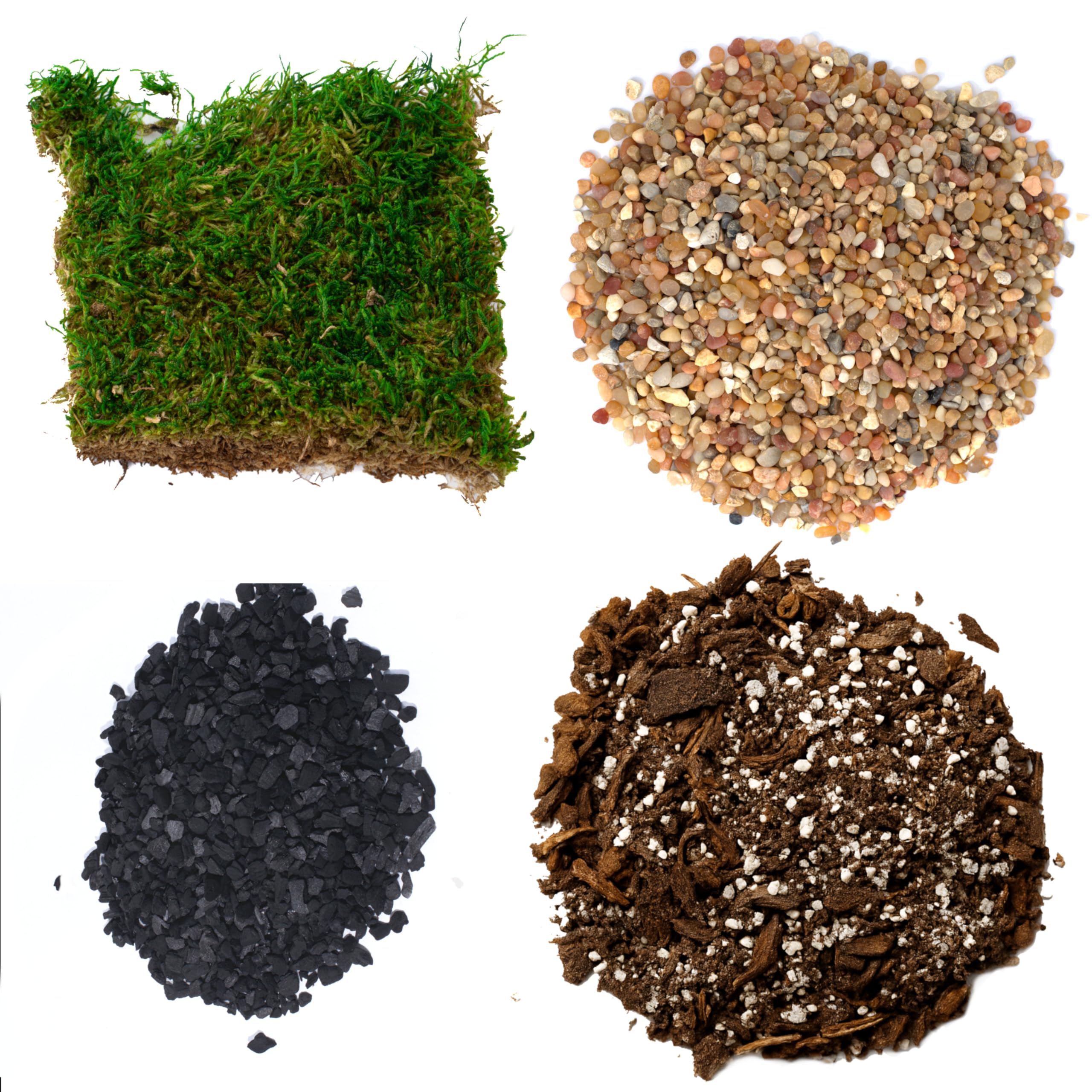 Succulent Terrarium Kit (Medium)