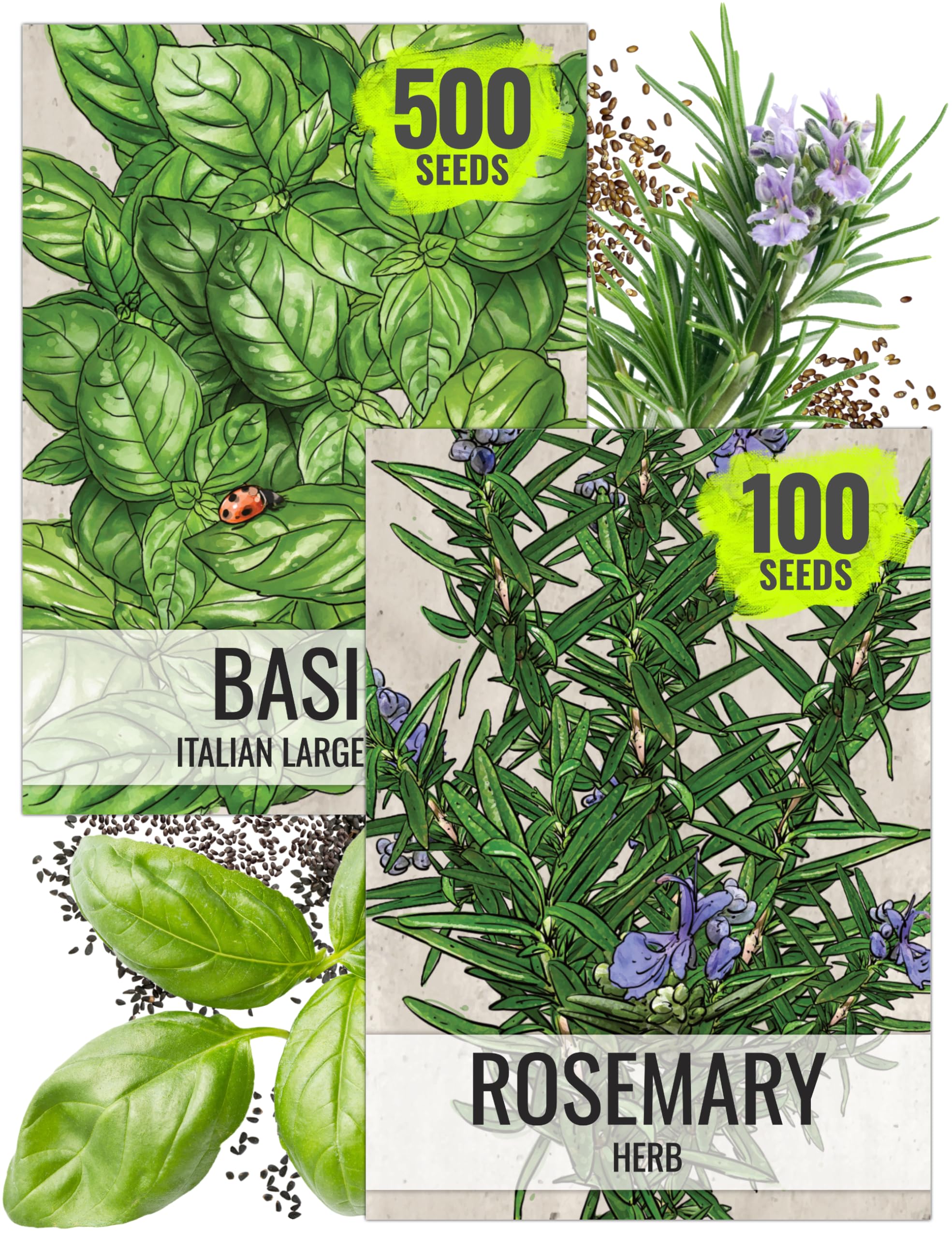 Seed Needs Rosemary & Basil Seeds