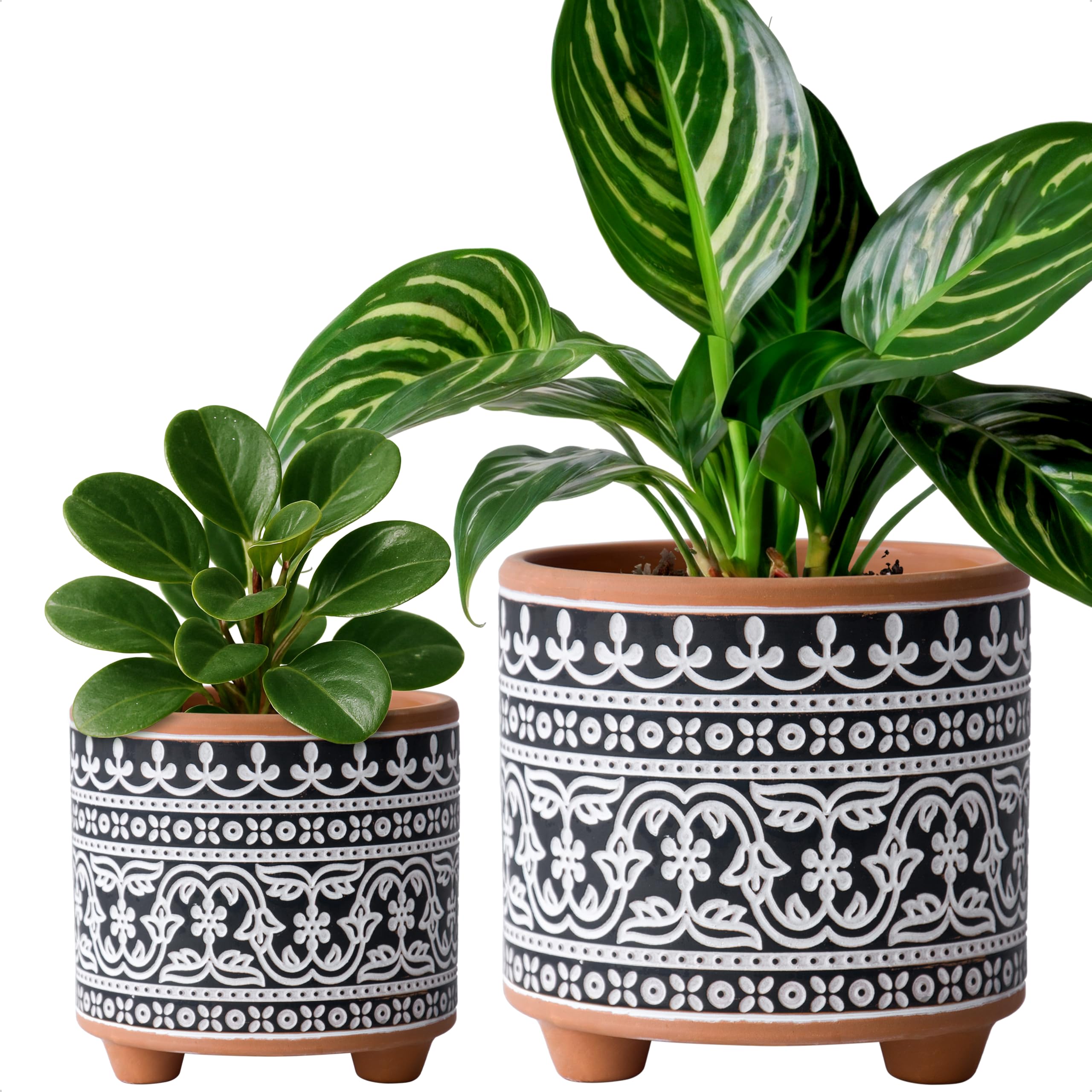 D'vine Dev Midnight Lace Planters (Set of 2)