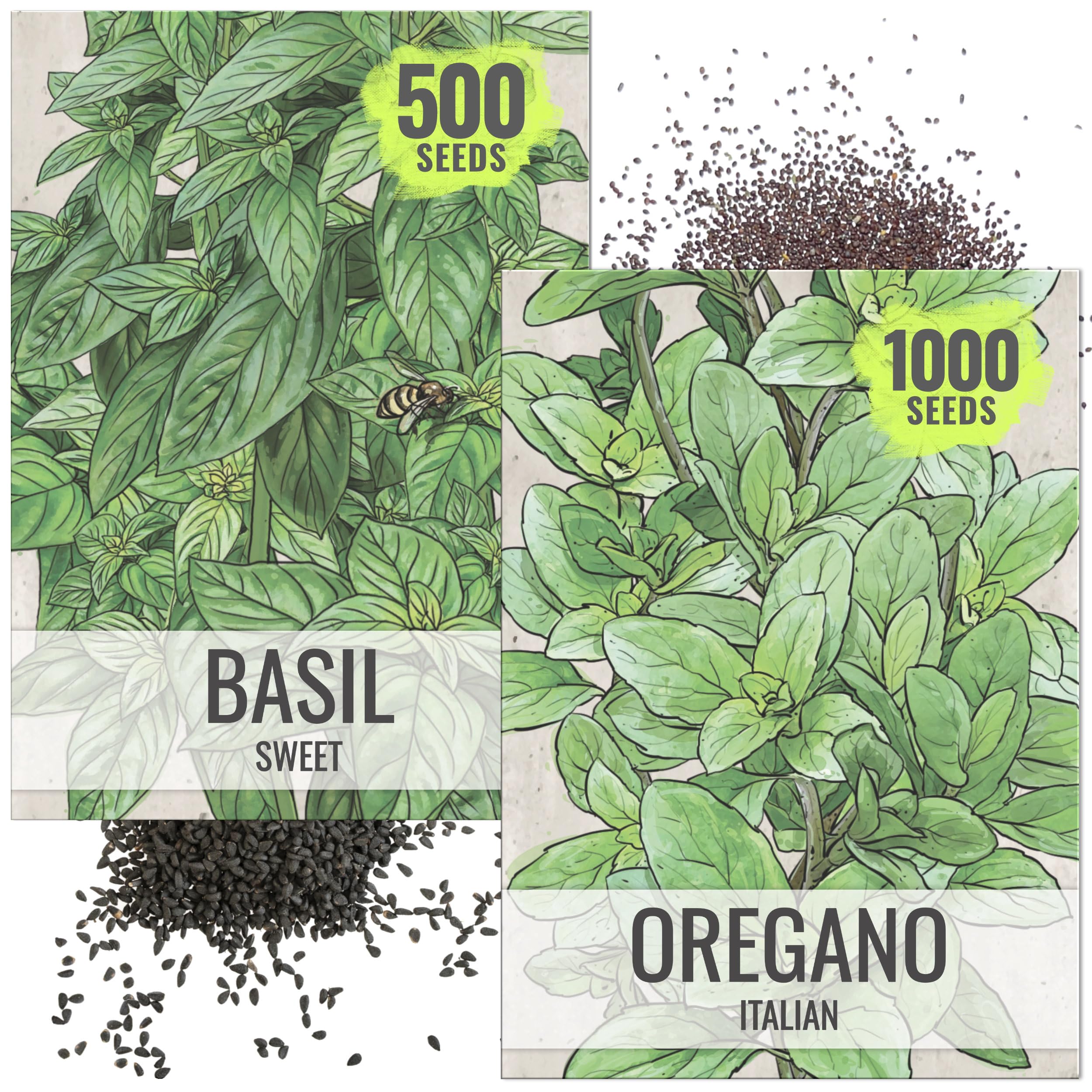 Seed Needs Sweet Basil & Italian Oregano Seeds