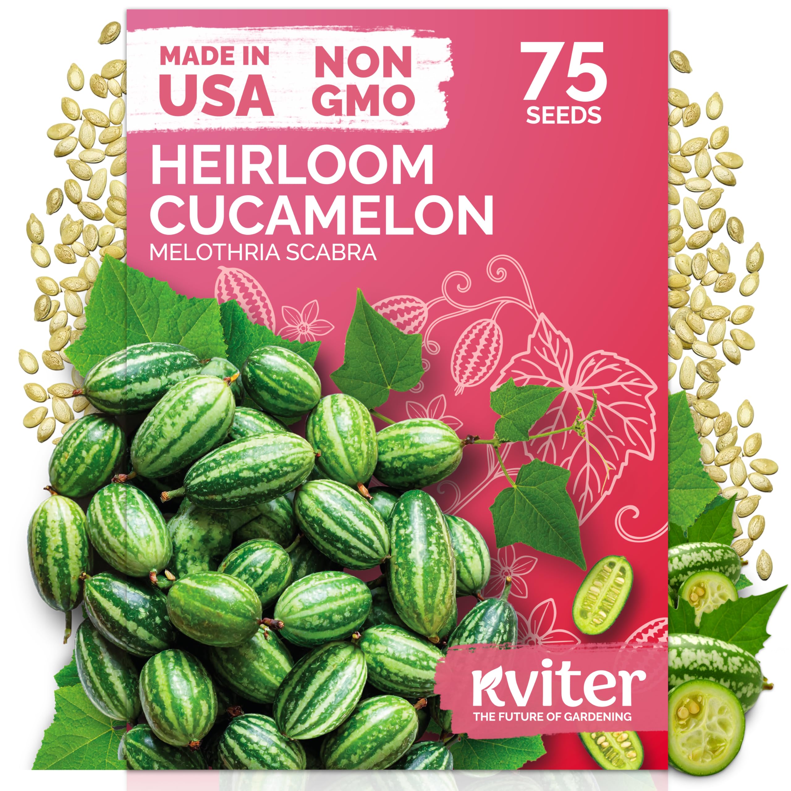 KVITER Cucamelon (Mexican Sour Gherkin) Seeds